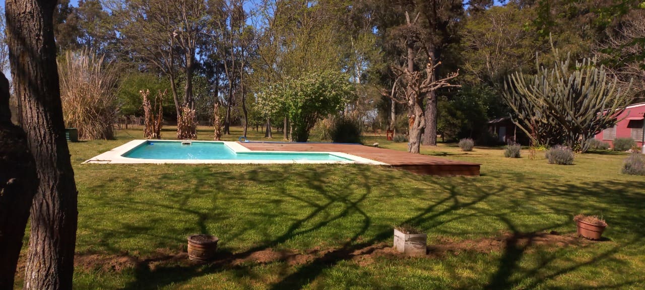 Pileta
