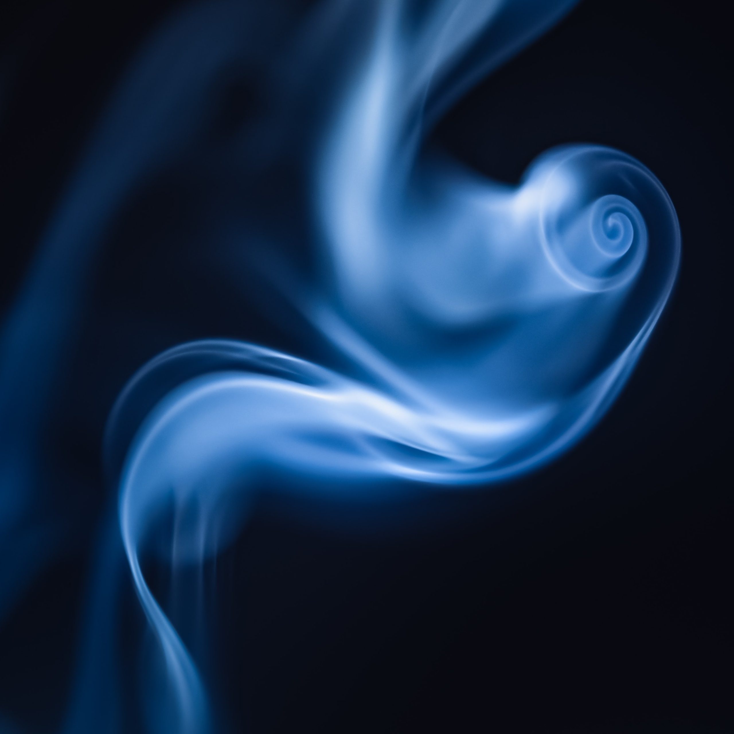 LaMariposa - marek-piwnicki-zSCLluSU_RU-unsplash